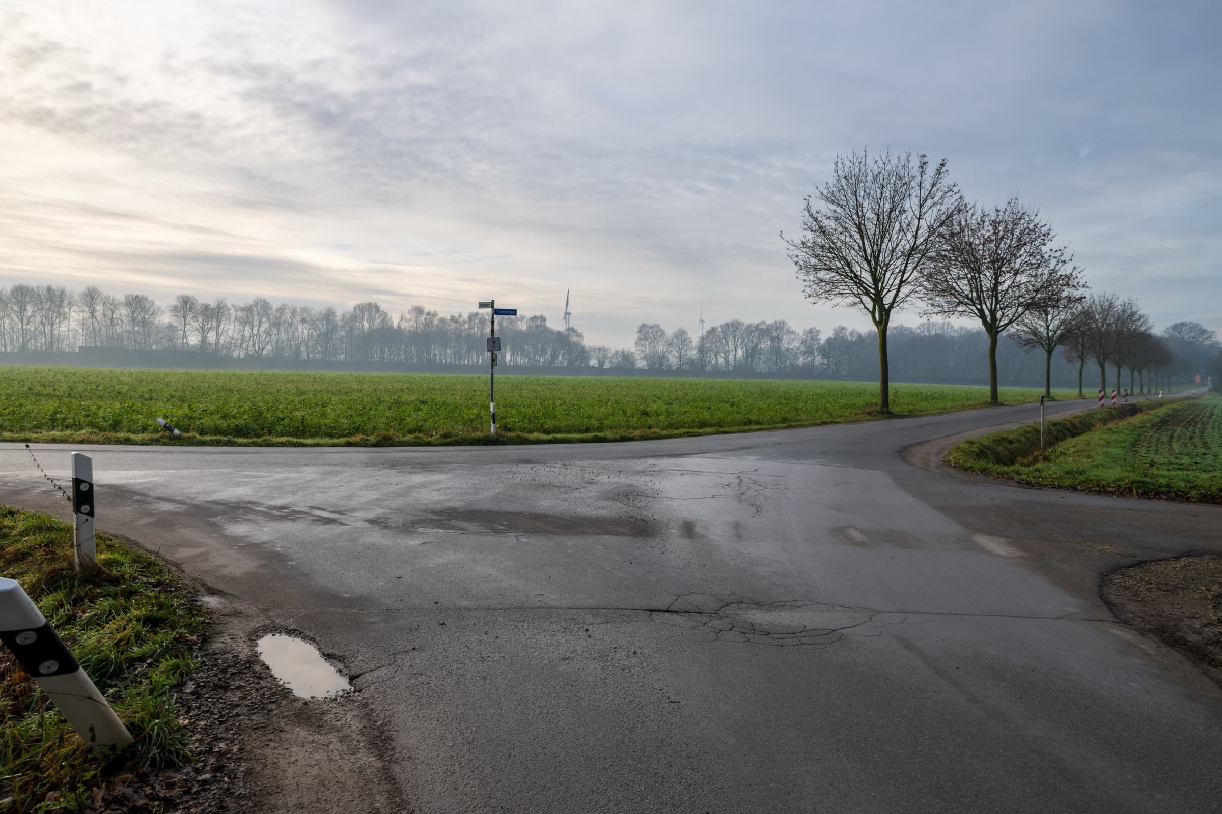 Een landelijke splitsing in de weg als beeld voor de strategische keuzes achter digitale platformen.